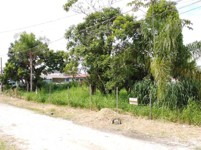 Terreno para Venda em Pontal do Paraná - 5
